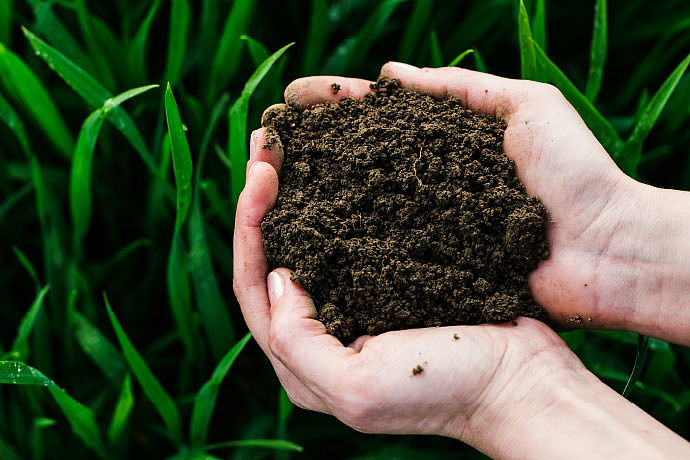 Biostab-Erde, Hände und Gras